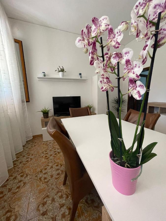 A Casa Dei Nonni Βίλα Cavallino-Treporti Εξωτερικό φωτογραφία